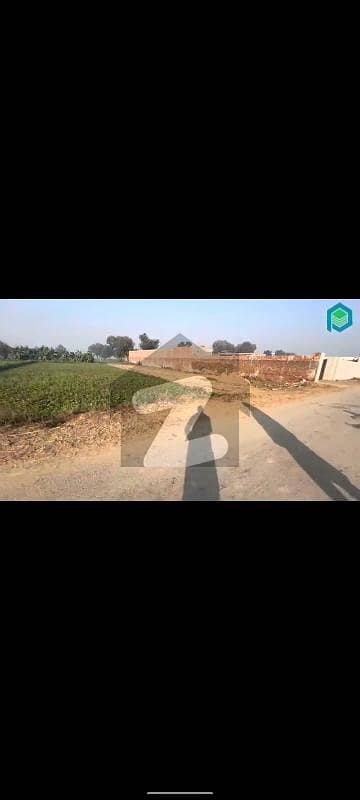Farm