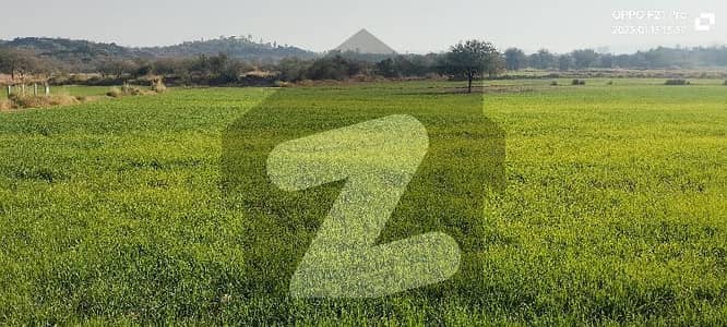 بنگو روڈ فتح جھنگ میں 52 کنال زرعی زمین 13.0 کروڑ میں برائے فروخت۔