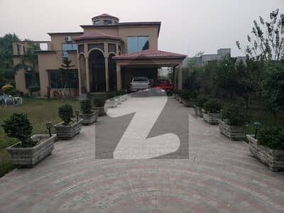بیدیاں