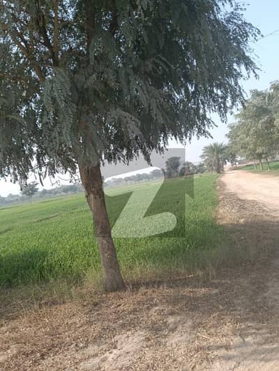 75 Acres Agri Land Per Kanal 1 Lac Mankera BHAKKAR From Multan 150 Km