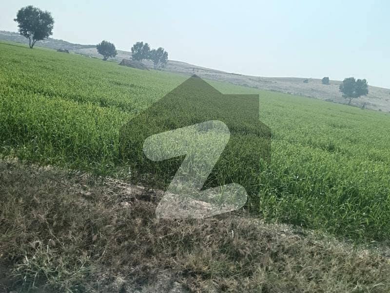 1600 Kanal Agriculture Land Sale From Multan City 90 Km