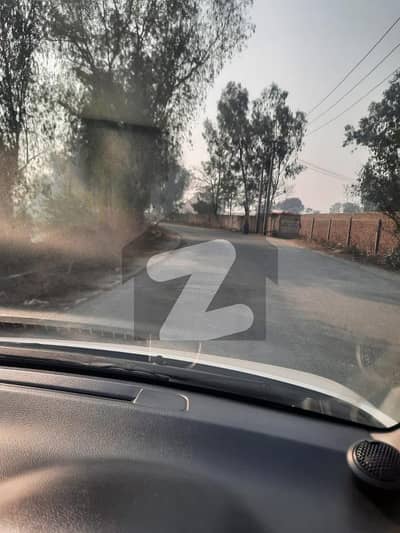 بیدیاں