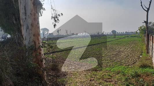 بیدیاں روڈ لاہور میں 17 کنال کمرشل پلاٹ 15.0 کروڑ میں برائے فروخت۔