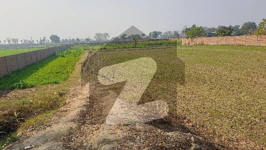 بیدیاں