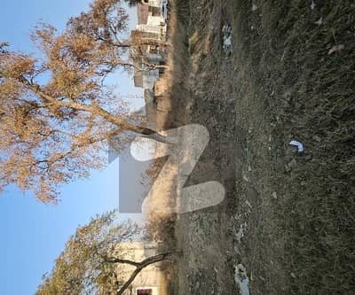 Commercial Land For Marquee Restaurant News Cars Showroom Banks Furniture Show Room And Market Food Chain Mart Big Mall