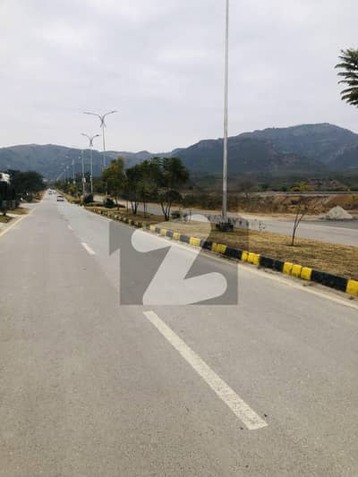 35x70 Top Location Plot For Sale In D-12/4