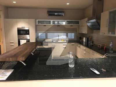 IDEAL FOR EXPATS - Luxurious Fully Furnished 2-Bedroom Lower Ground Floor Apartment for Rent