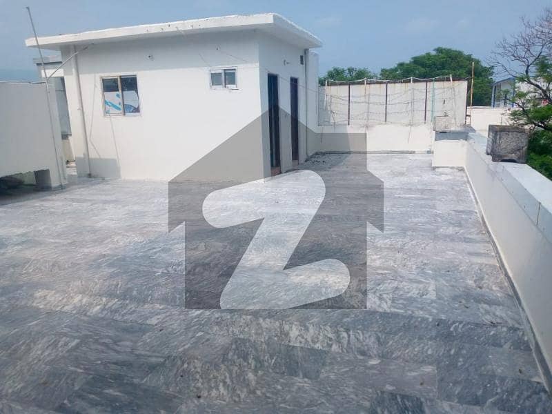 24 