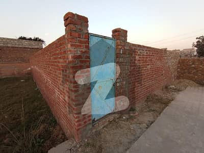 یونیورسٹی