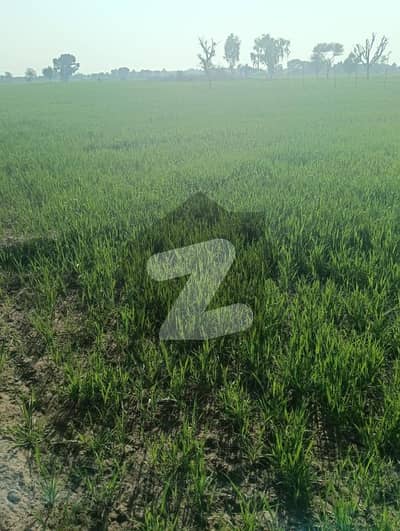Buy A Centrally Located 100 Kanal Agricultural Land In Multan Bypass
