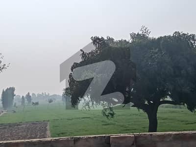 Ready To Buy A Agricultural Land In Multan Bypass Multan Bypass