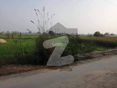 Farm