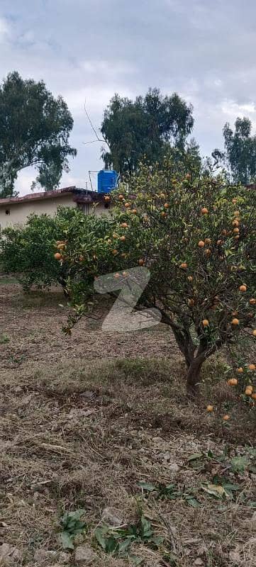 چک شہزاد فارمز چک شہزاد,اسلام آباد میں 20 کنال پلاٹ فارم 65.0 کروڑ میں برائے فروخت۔