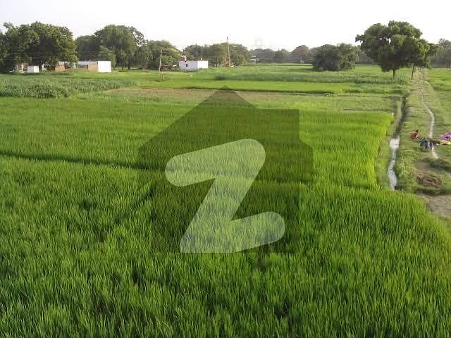400 Hundred Kanal Land For Sale Near Gt Road jhelum 400 Hundred Kanal Land For Sale Near Gt Road jhelum