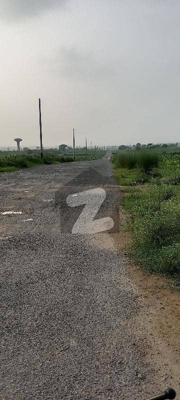 20 