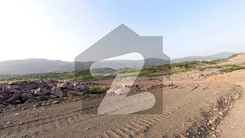 sale A Residential Plot In C-14 Prime Location