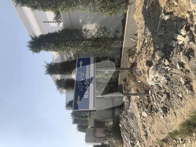 ڈی