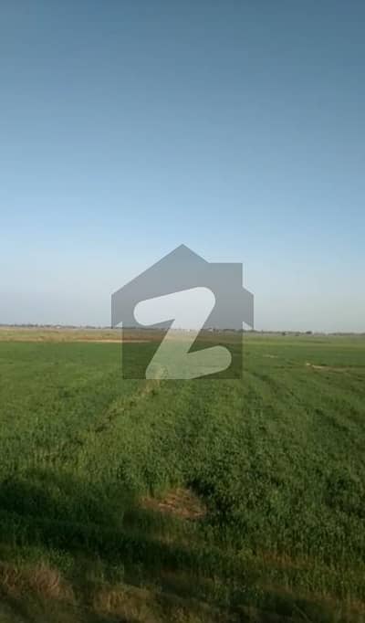 ( 90 ACRES ) Zaraee Land For Sale In (RASOOL NAGER) Demand : 75 Lac Per Acre