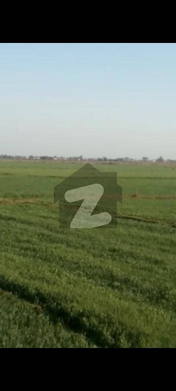 65 Acres Zaraee Land For Sale In (Noshera Virka)
