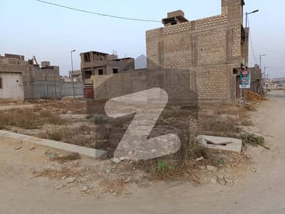 نارتھ