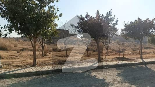 Gulberg Farm House Land For Sale