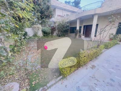 جی