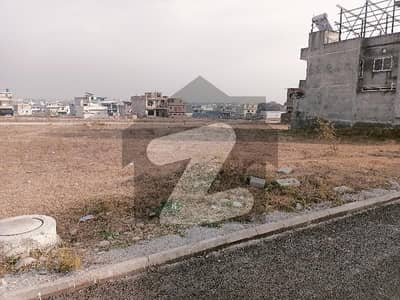 جناح