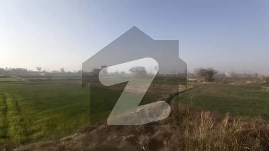فیروزپور روڈ قصور میں 8 کنال زرعی زمین 1.15 کروڑ میں برائے فروخت۔