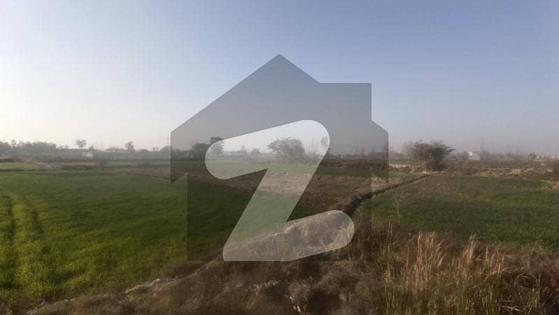 1 Acre Agricultural / Commercial Land for Sale in Ferozpur Road Gndha Singh Kasur 1 Acre Agricultural / Commercial Land for Sale in Ferozpur Road Gndha Singh Kasur
