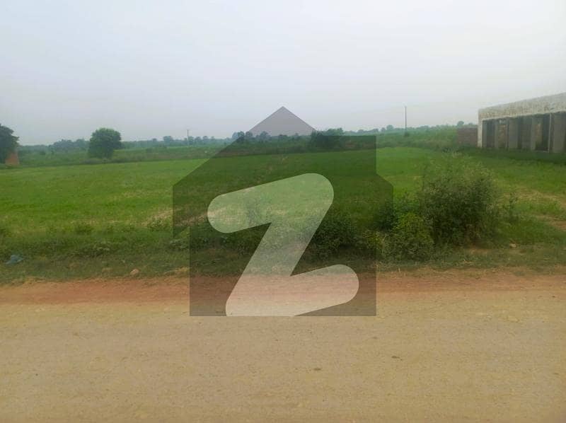 Fertile 02 Acre Agricultural Land Available On Bedian Road