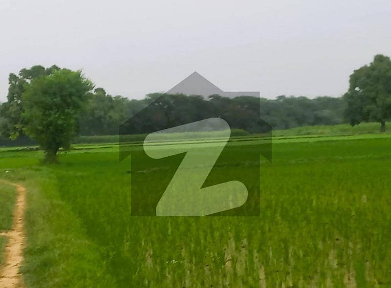 Fertile 02 Acre Agricultural Land Available On Bedian Road Fertile 02 Acre Agricultural Land Available On Bedian Road