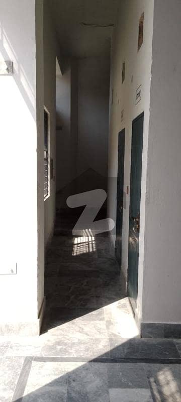 20 