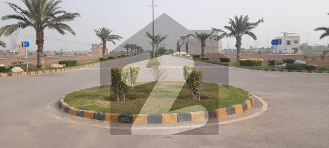 سٹی
