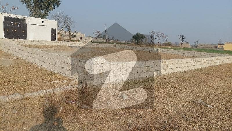 20 Marla Plot Haji Shah Morr 20 Marla Plot Haji Shah Morr