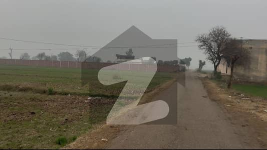 Farm