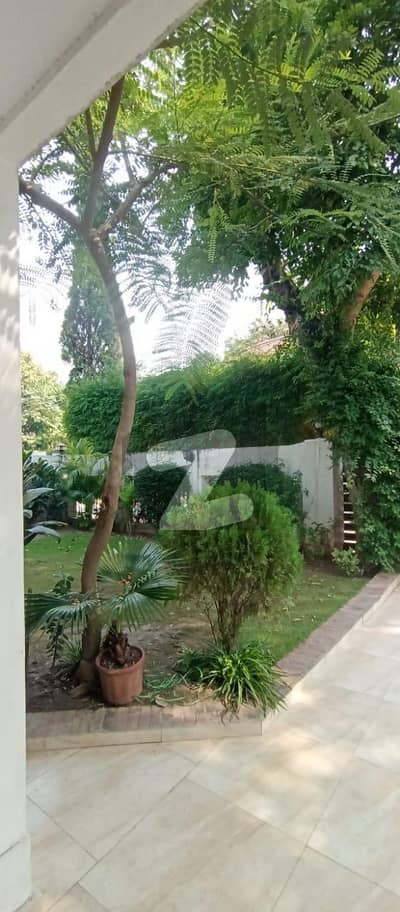 Solar 10 K. V With Green Meter Prime Location Of Cantt Lahore1 Kanal House For Rent 3 Bedroom Drawing Dining Room Kitchen Tv Lounge