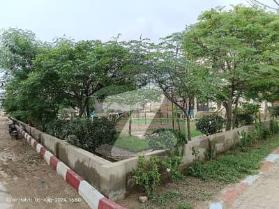 ملیر