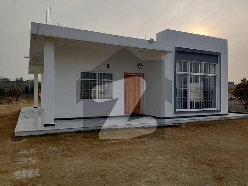 5 Kanal Farmhouse A Serene Escape Amidst Nature! 5 Kanal Farmhouse A Serene Escape Amidst Nature!