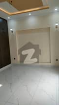 20 
