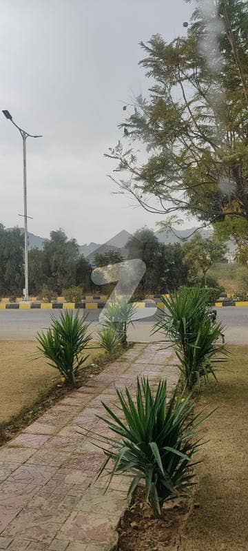 بی