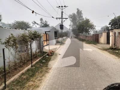 بیدیاں