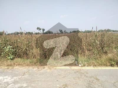 بیدیاں