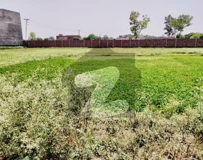 بیدیاں