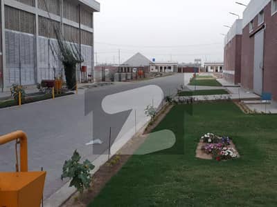 ایم