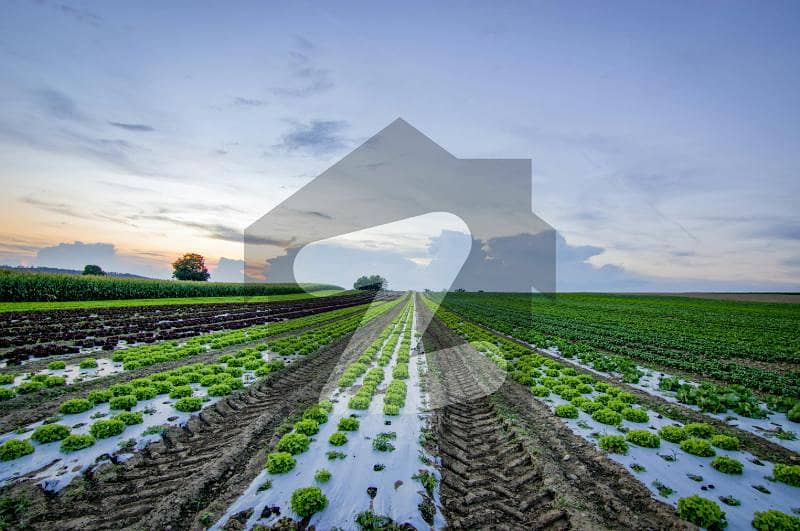 1000 KANAL LAND FOR SALE BEST FOR HOUSING SOCIETY DEVELOPMENT HOT LOCATION 1000 KANAL LAND FOR SALE BEST FOR HOUSING SOCIETY DEVELOPMENT HOT LOCATION