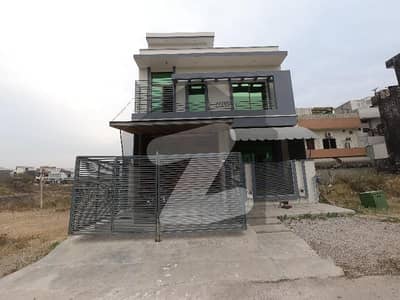ڈی