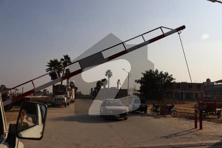 زمر
