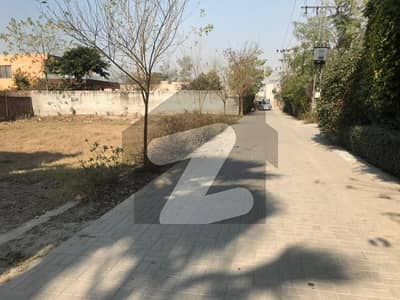 بیدیاں