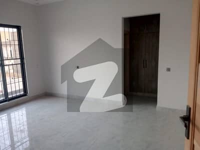 1 Kanal Single Story House Available For Rent