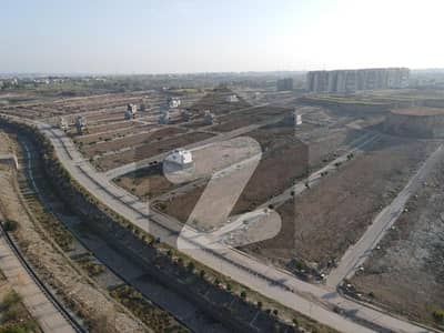 ڈی